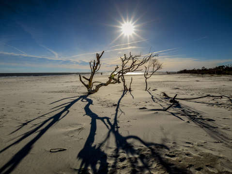 Long shadows on the beach