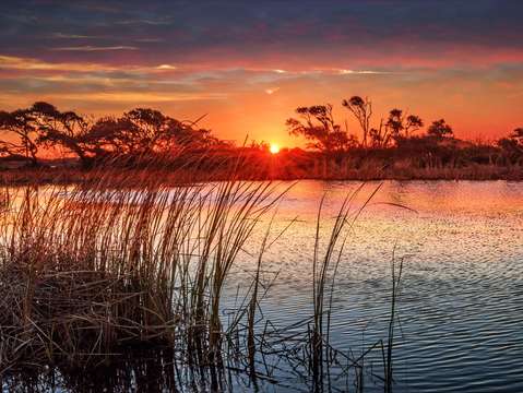 Sunrise across the pond red sky