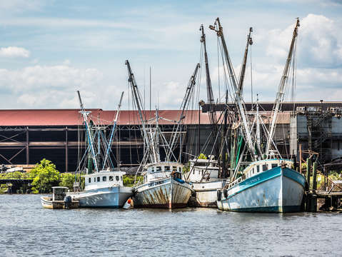 Shrimp boats georgetown