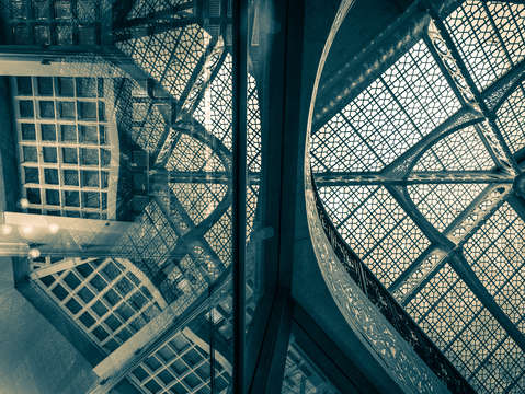 Rookery Reflections