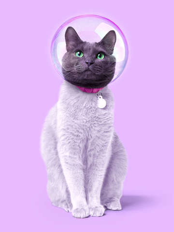 Space cat