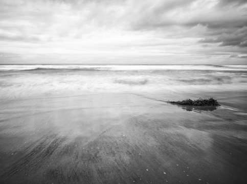 Coastal morning 3