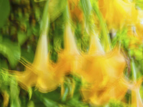 The beauty of bells