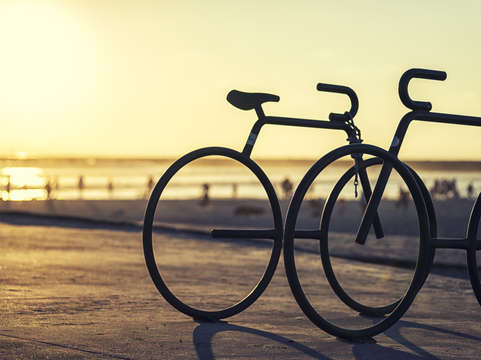 Waiting for a rider