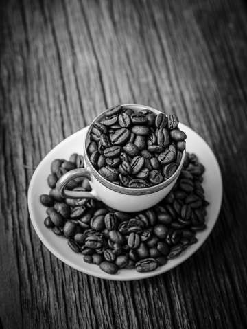 Coffee break