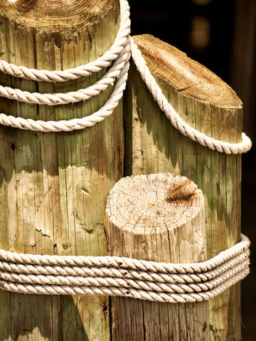 Dock pilings