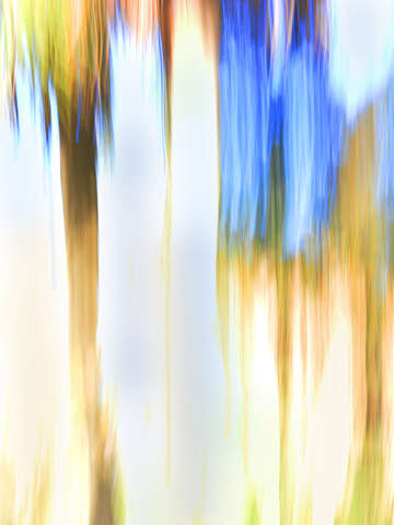 Moving trees 34 portrait format