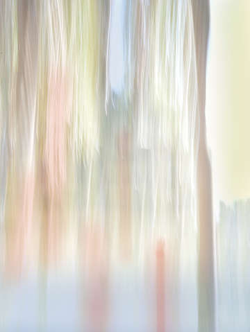 Moving trees 35 portrait format
