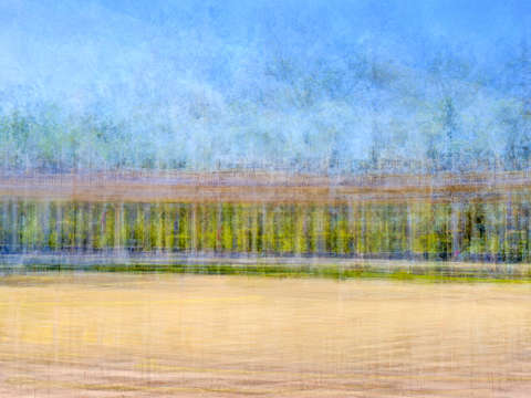 Pavilion impressions