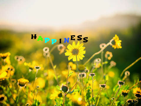 Natures smile series 13