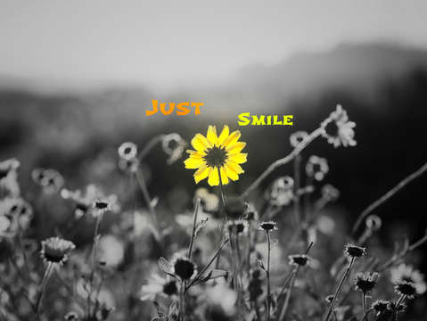 Natures smile series 14