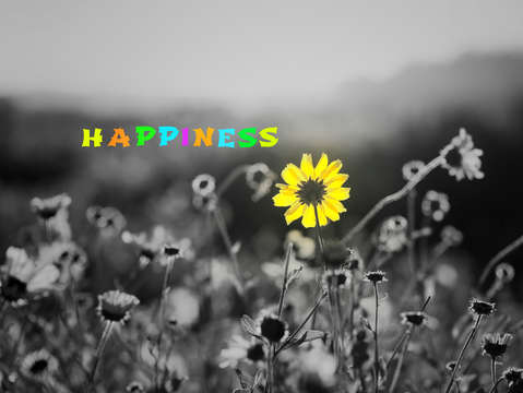 Natures smile series 15