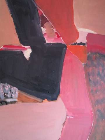 Pink canyon