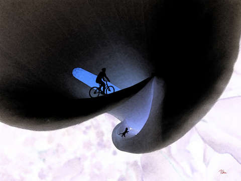 The bicyclist and his cat