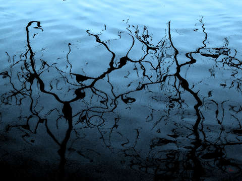 Reflections on water 001