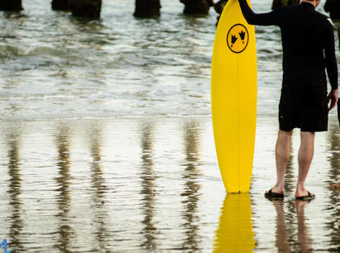 Surfs up 9925