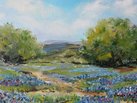 Hill country bluebonnets
