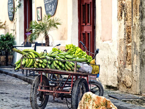 Havana fruit cart