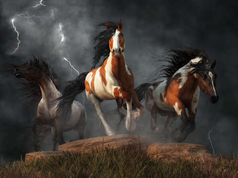 Mustangs of the storm