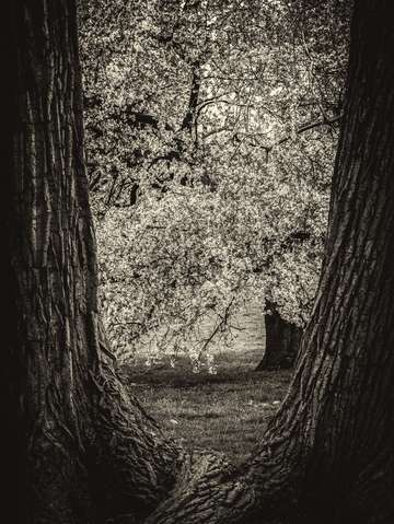 Framed 2