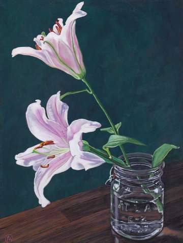 Stargazers 2