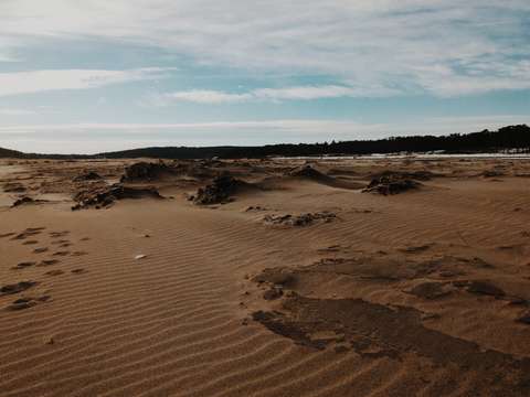 Winter at popham beach