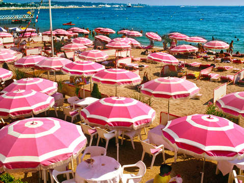Pink umbrellas