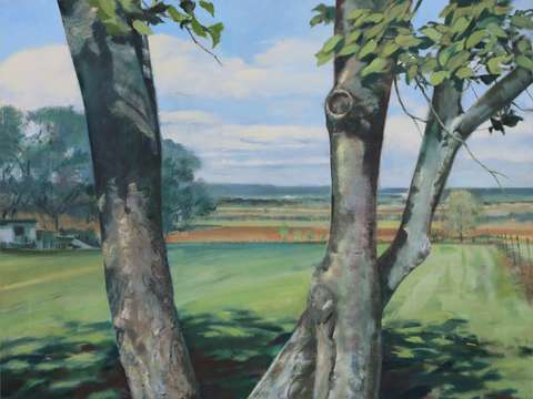 View through three trees