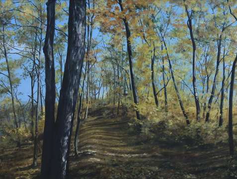 Golden autumn