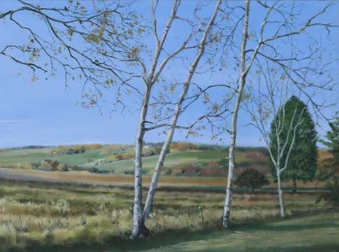 Laurel Highlands
