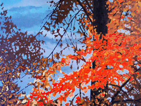 Stormy red fall