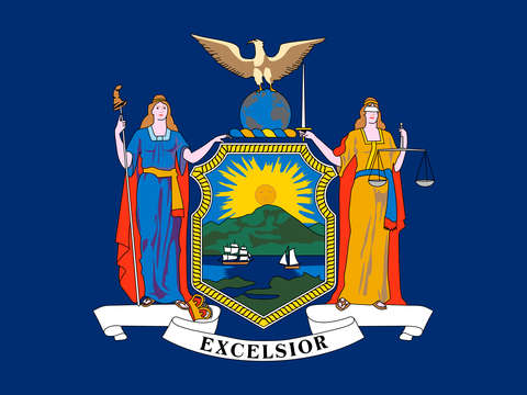 Flag of new york state 2
