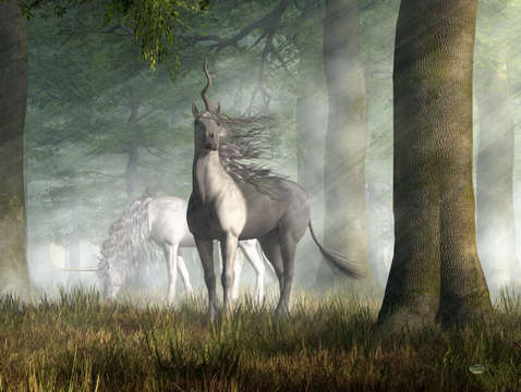 Unicorn 2