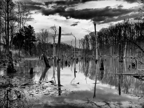 River of pain