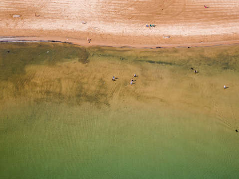 Montrose beach dog park