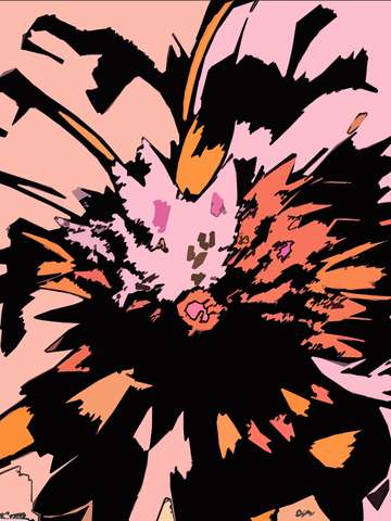Pink zinnia 2