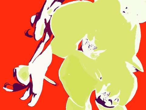 Blossom 2