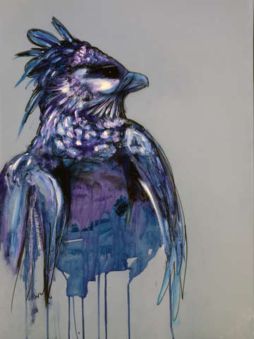 African Eagle