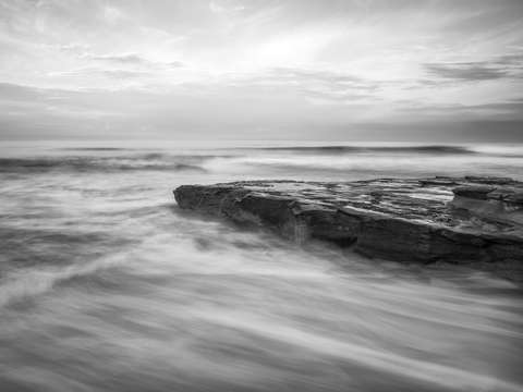 California monochrome