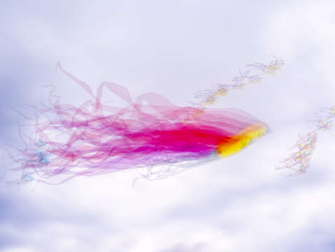 Go fly a kite