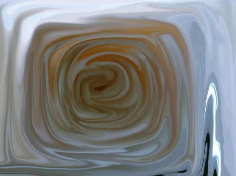 Camellia 00065 b 2