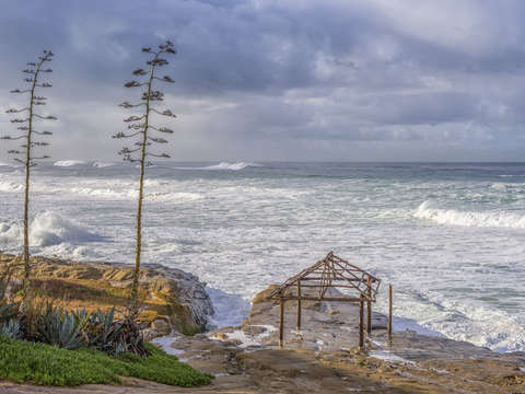 A windansea winter