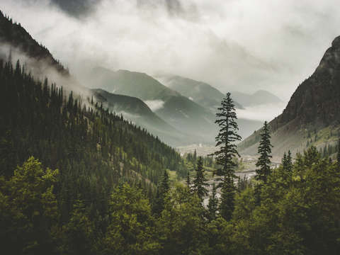 Valley of Forever
