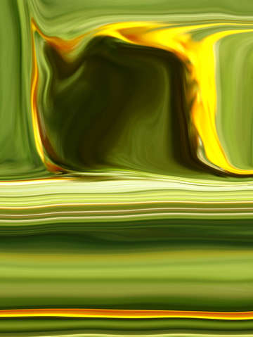 Fiddleneck 00154 b