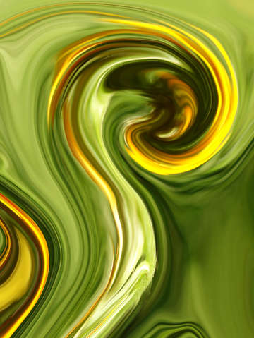Fiddleneck 00154 c