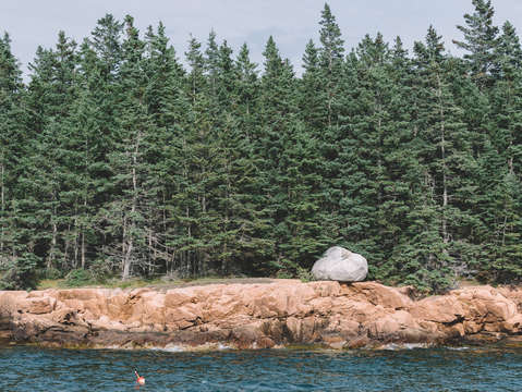 The simplicity of maine 23