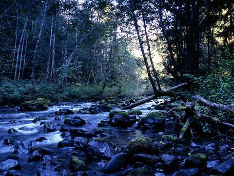 Big quilcene river
