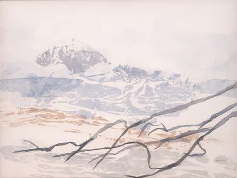Ikebana mountain
