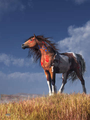 Warrior spirit