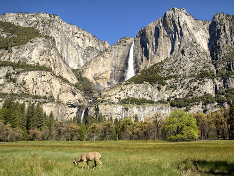 Yosemite valley 3